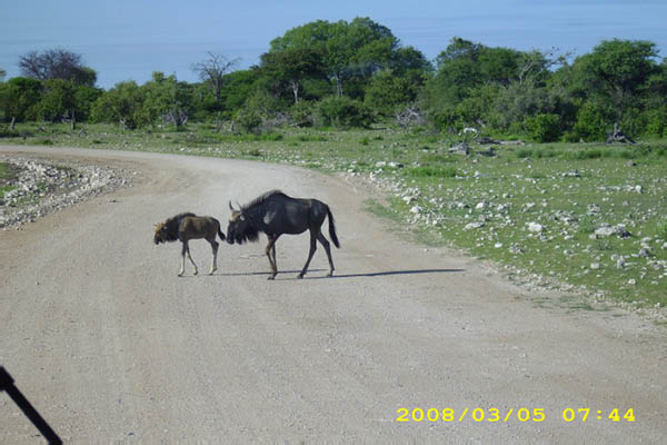 Musik aus Namibia 017