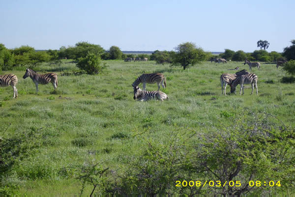 Musik aus Namibia 028