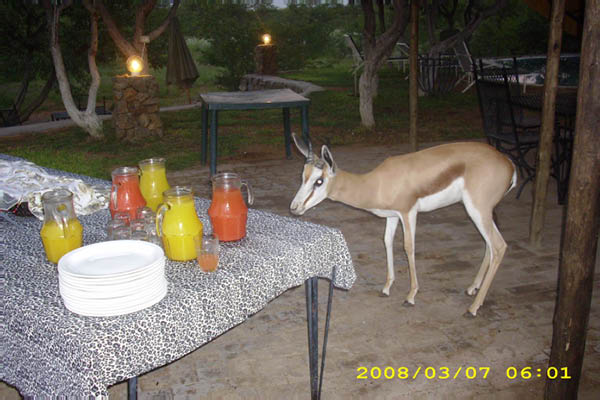 Musik aus Namibia 240