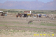Musik aus Namibia 275